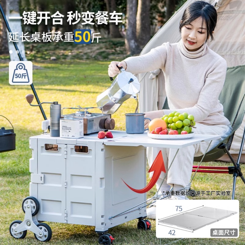 Carrello della spesa   Carrell - Outdoor Lighting Expressions recensione e prezzo