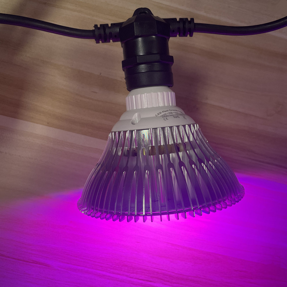 Cavo LED da 10 m, impermeabile - Outdoor Lighting For Backyard recensione e prezzo