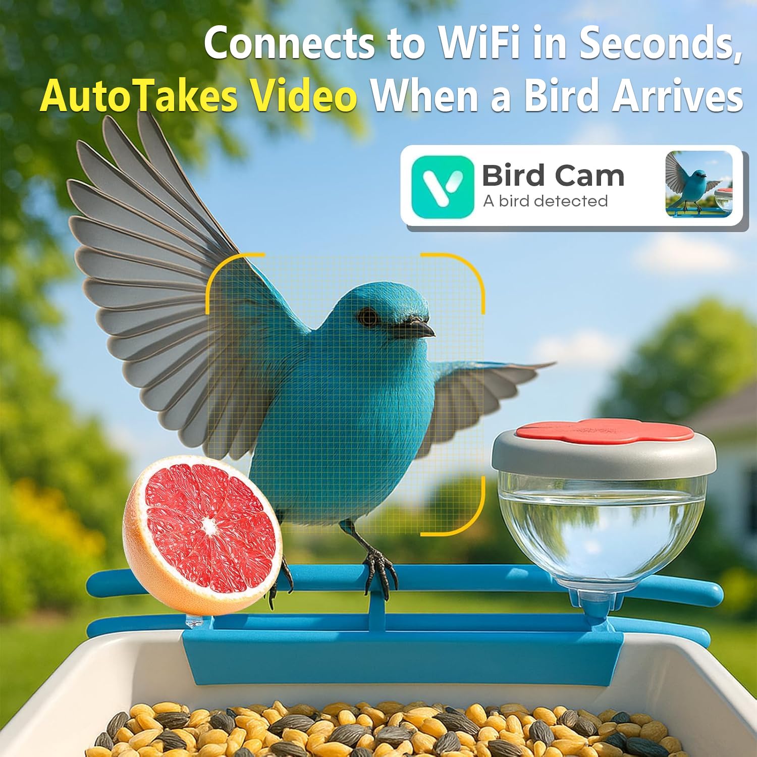 Telecamera Intelligente per Al - Motion Sensor Outdoor recensione e prezzo